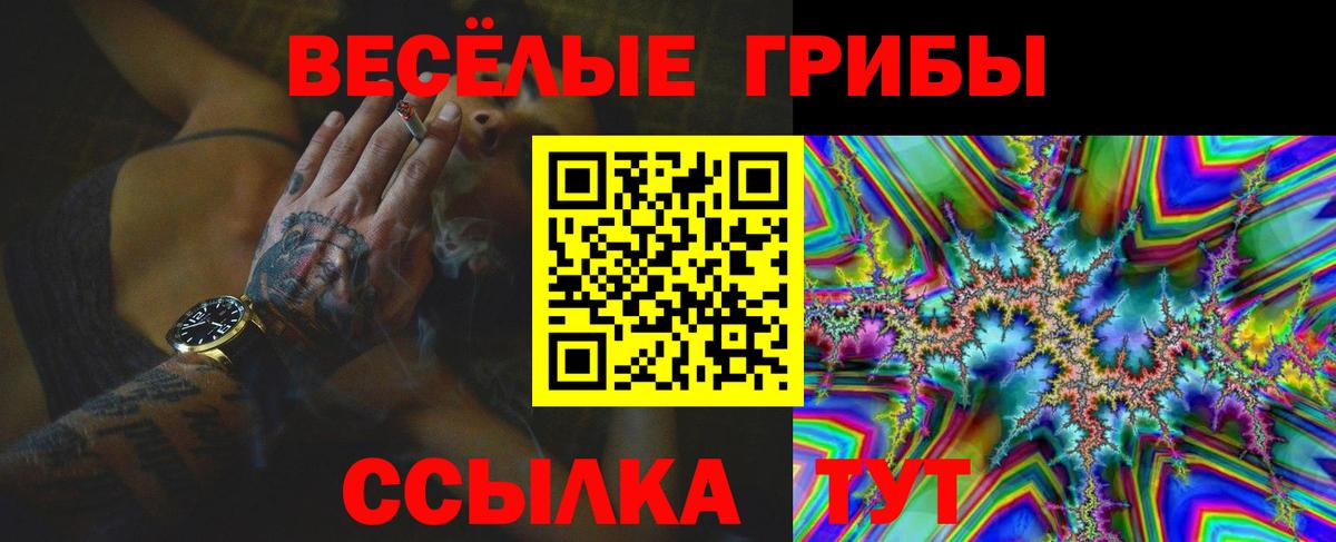 Галлюциногенные грибы Psilocybe Кемерово